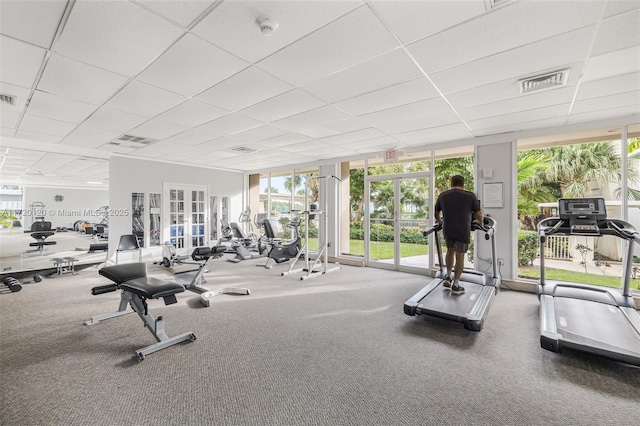 gym with carpet, a drop ceiling, and a wall of windows