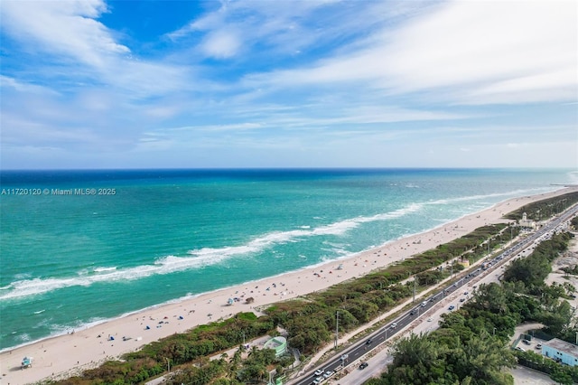 property view of water featuring a beach view