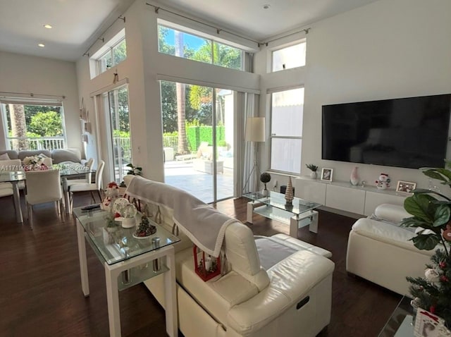 living room with dark wood-type flooring, a towering ceiling, and plenty of natural light