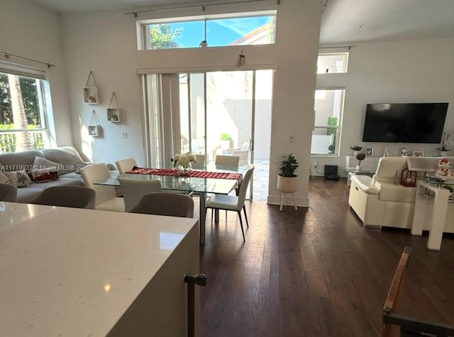 living room with dark hardwood / wood-style floors