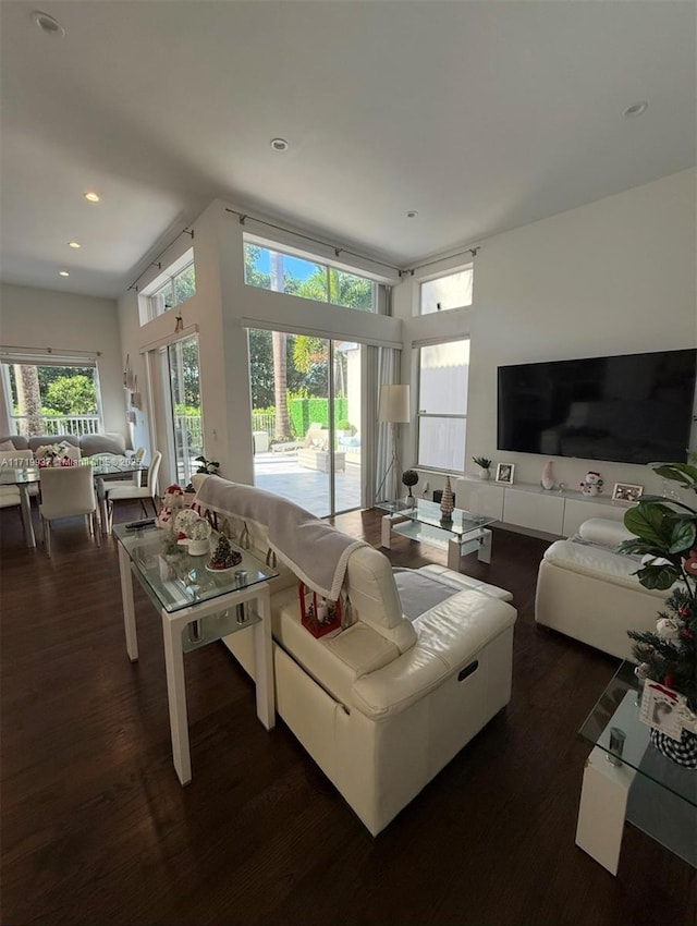 living room featuring dark wood-type flooring and a high ceiling