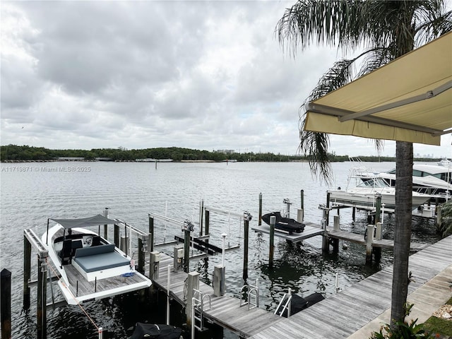 dock area with a water view