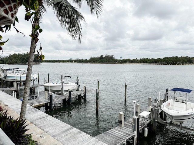 dock area with a water view