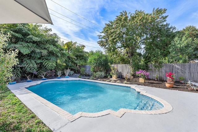 view of swimming pool with a fenced in pool and a fenced backyard