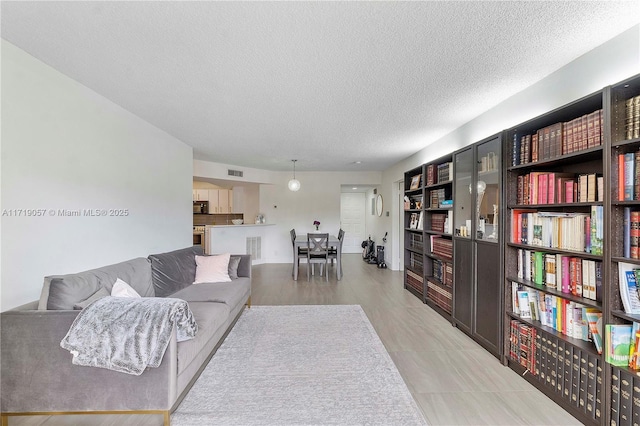 living room featuring a textured ceiling