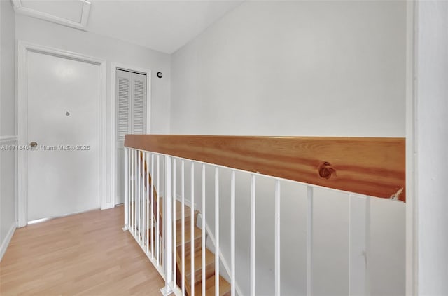 hallway with light wood-type flooring