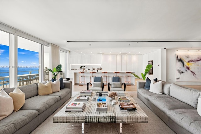 living room with a water view and wood-type flooring