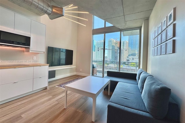 living room featuring light hardwood / wood-style flooring