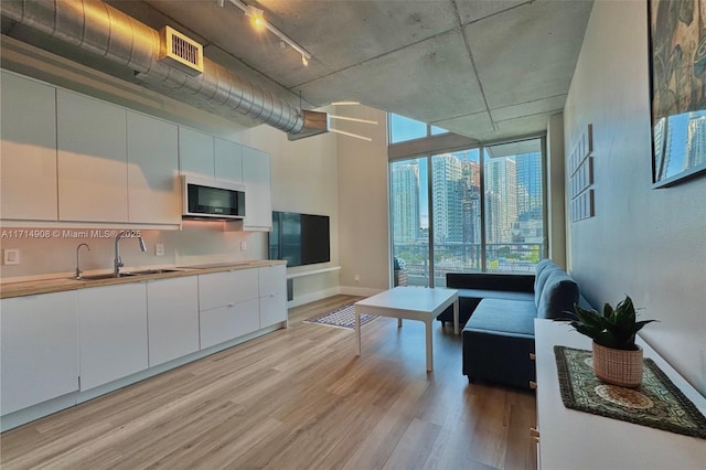 living room featuring floor to ceiling windows, sink, and light wood-type flooring
