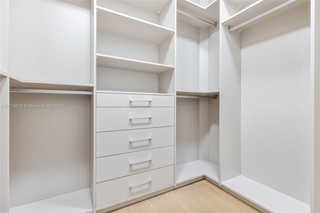 spacious closet with hardwood / wood-style flooring