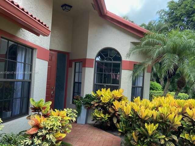 entrance to property featuring a tiled roof and stucco siding