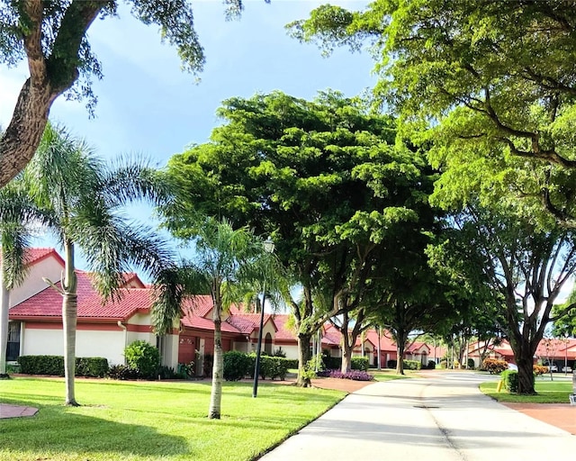 view of community with a lawn