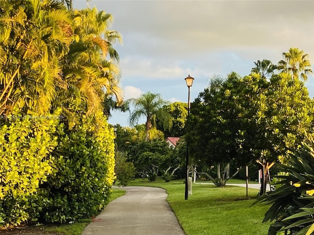 view of home's community featuring a yard