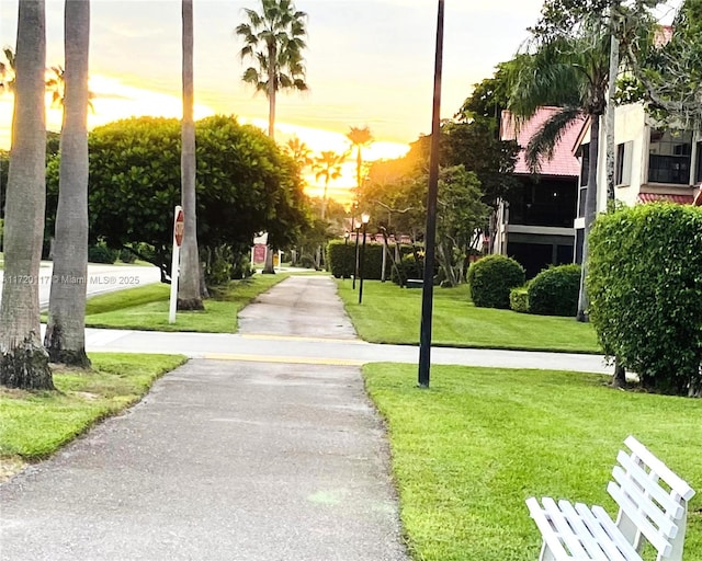 view of property's community with a yard