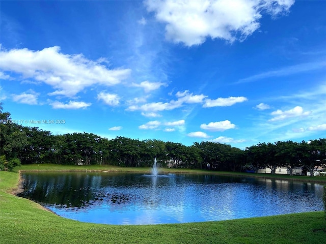 view of water feature