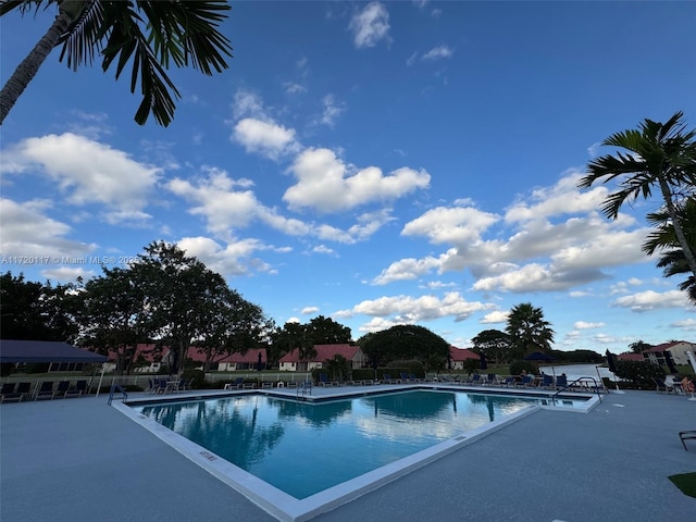 view of swimming pool with a patio area