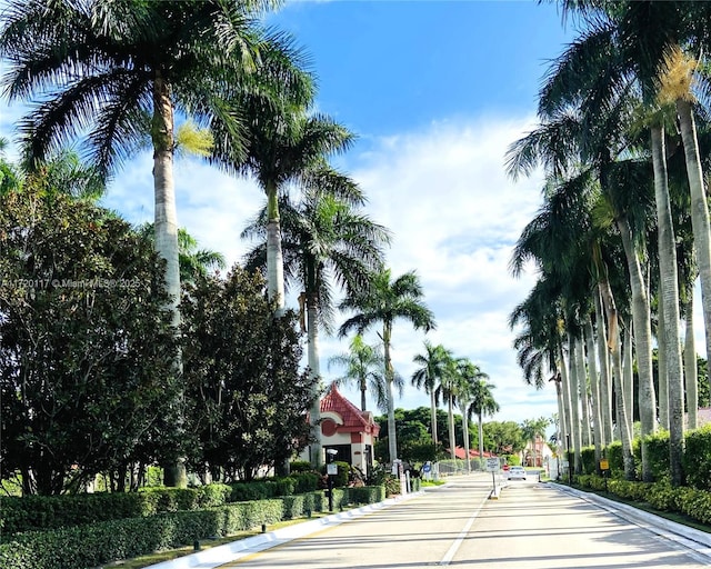 view of street with curbs