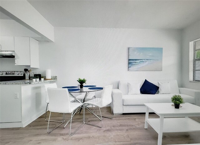 living room with light hardwood / wood-style flooring