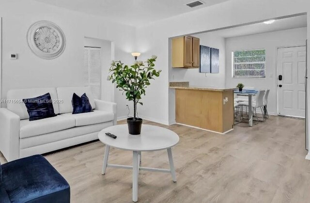 living room with light wood-type flooring