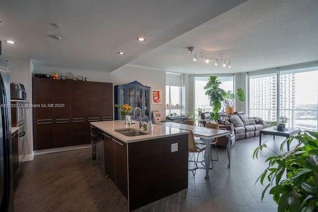 kitchen featuring expansive windows, dark brown cabinets, dark wood-type flooring, sink, and an island with sink