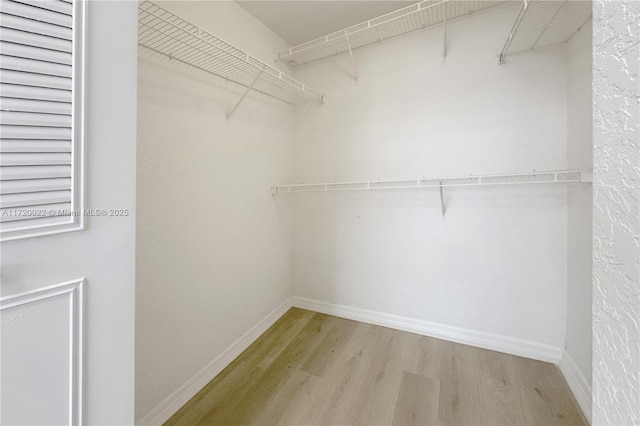 spacious closet featuring light hardwood / wood-style flooring