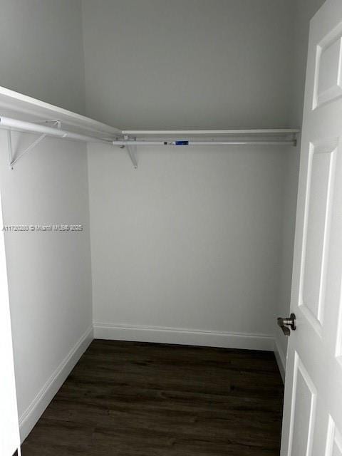 301 NW 28th Ave, Fort Lauderdale, FL 33311 - walk in closet with dark wood-type flooring