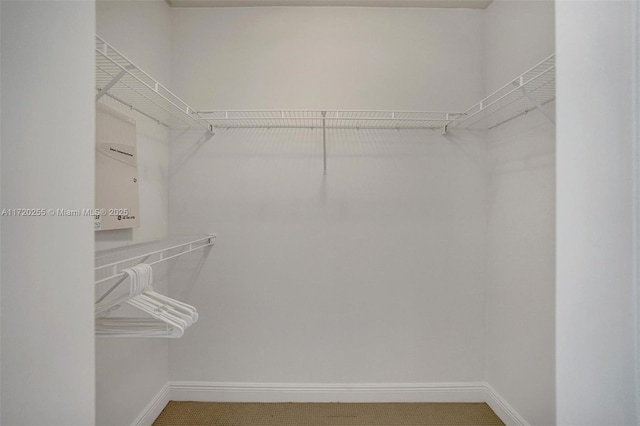 walk in closet featuring carpet