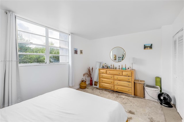 bedroom with a closet