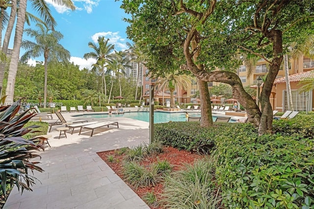 view of swimming pool with a patio area