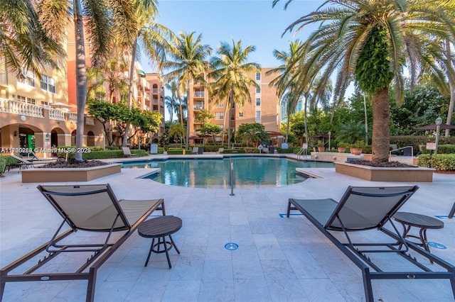 view of pool with a patio