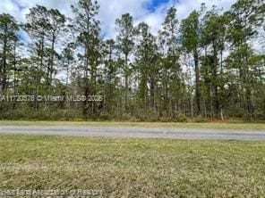 Listing photo 3 for 0 Oleander Dr, Lake Wales FL 33898