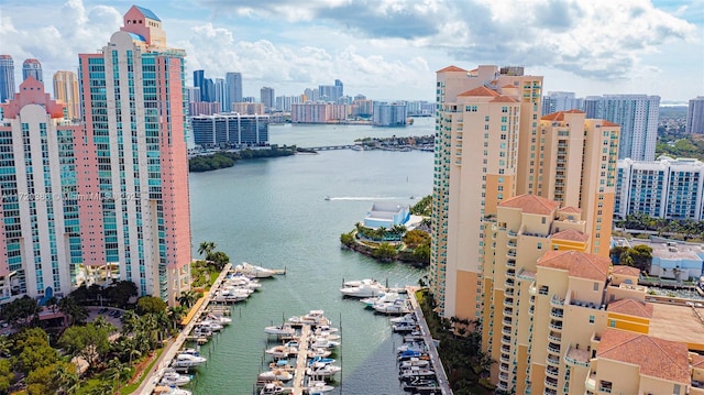 3340 NE 190th St Unit 1101, Aventura, FL 33180 - water view with city skyline and numerous boat docks