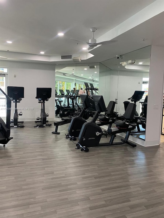 workout area featuring ceiling fan, wood-type flooring, and a wealth of natural light