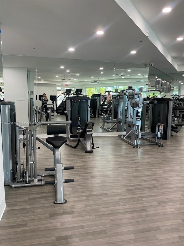 exercise room featuring wood-type flooring