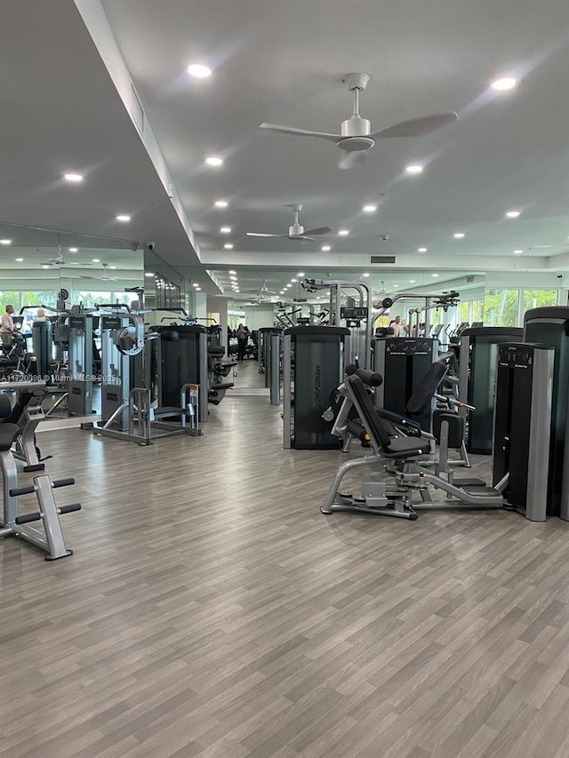 exercise room featuring light hardwood / wood-style floors