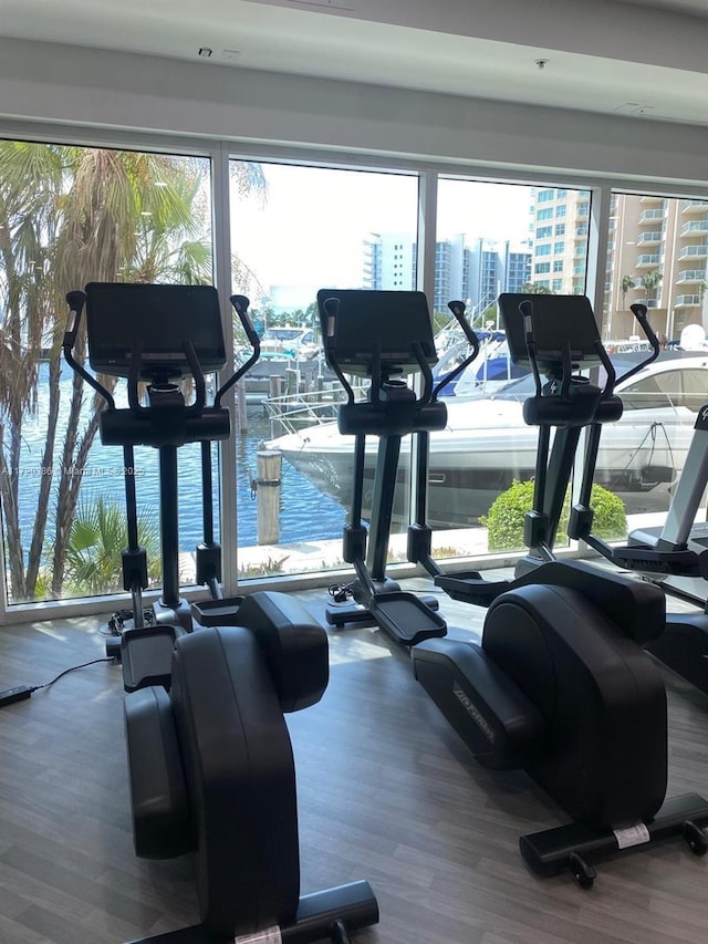 exercise room with a water view and a healthy amount of sunlight