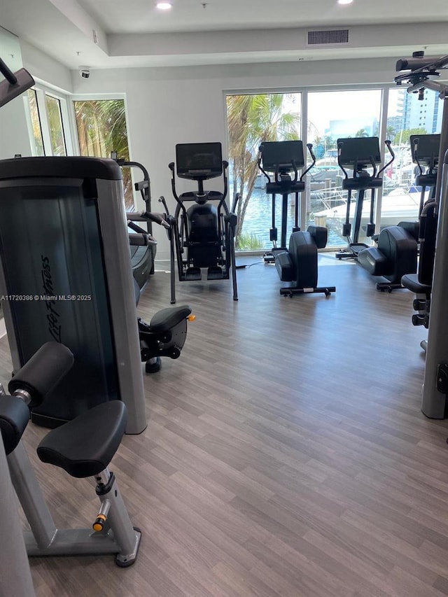 exercise room featuring hardwood / wood-style floors