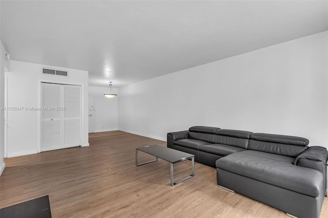 living room featuring wood-type flooring