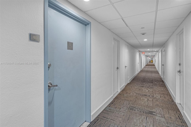 hallway with a paneled ceiling