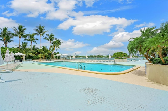 view of swimming pool featuring a patio