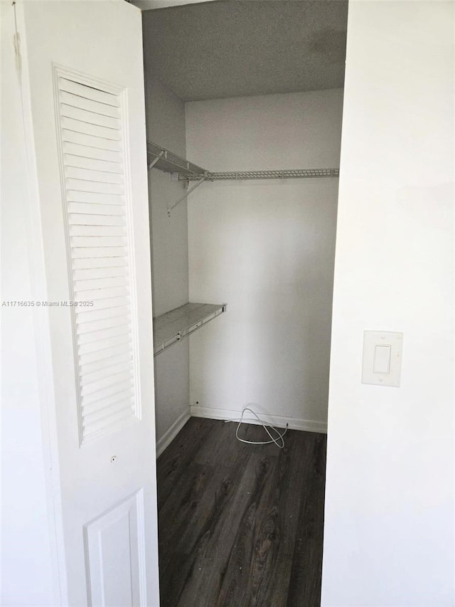 spacious closet featuring dark wood-type flooring