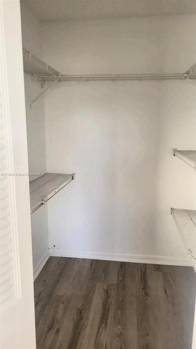 spacious closet with dark hardwood / wood-style flooring