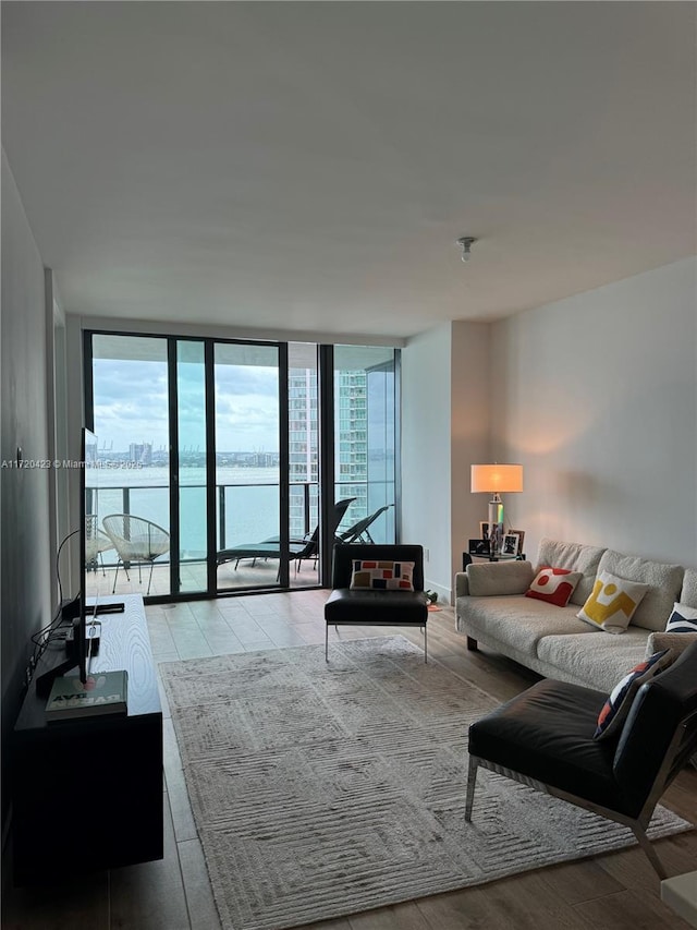 living room featuring floor to ceiling windows