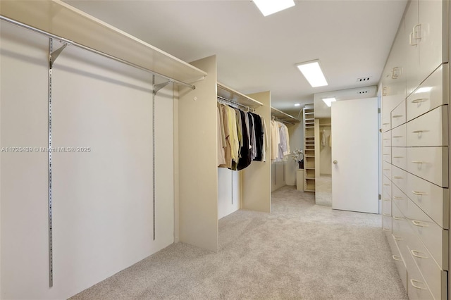 spacious closet featuring light carpet