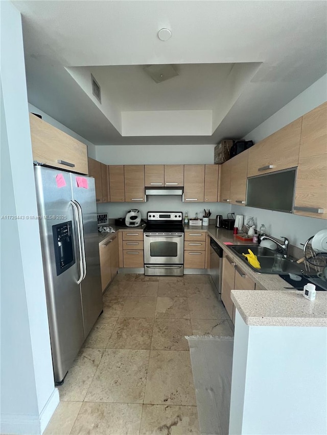 kitchen featuring a raised ceiling, light stone countertops, sink, and stainless steel appliances