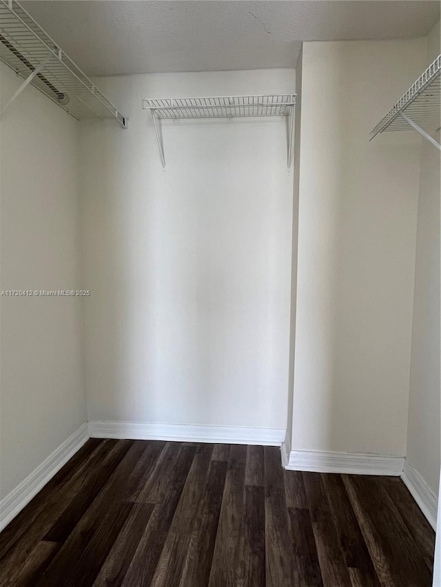 spacious closet featuring dark hardwood / wood-style flooring