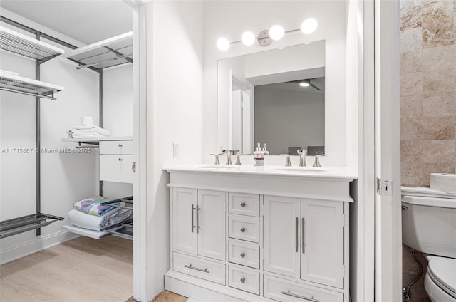 bathroom with hardwood / wood-style floors, vanity, and toilet