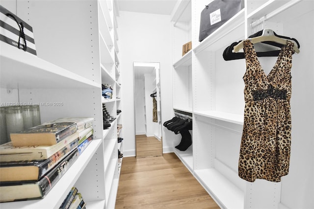 spacious closet featuring light hardwood / wood-style floors