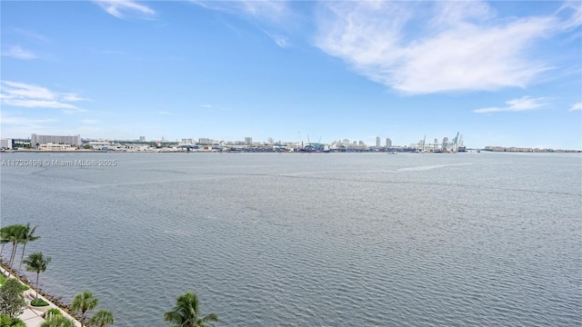 view of water feature with a view of city