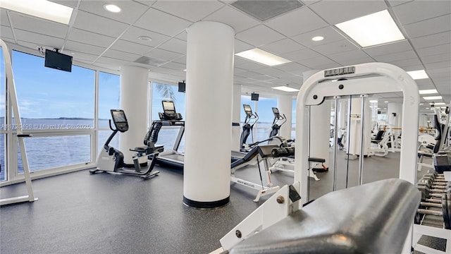 workout area featuring a wall of windows, a drop ceiling, and a wealth of natural light